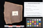 Foto (Objekt + Etikett) von Quercus palaeoilex Ettingshausen (NHMW-GEO-2024-0188-0836)